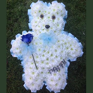 Teddy tribute